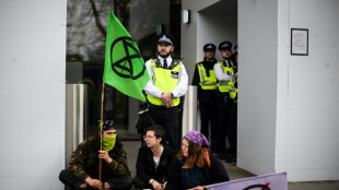 UN dr&auml;ngt London zur R&uuml;cknahme neuen Gesetzes zur &ouml;ffentlichen Ordnung