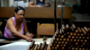 Exportaci&oacute;n de puros habanos creci&oacute; 15% en 2021 pese a pandemia