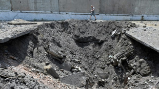 Promesses de l'Otan &agrave; l'Ukraine, qui reprend un &icirc;lot strat&eacute;gique, mais est menac&eacute;e dans l'est