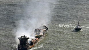 Collision en mer du Nord: des granul&eacute;s de plastique d&eacute;couverts dans l'eau et sur la c&ocirc;te