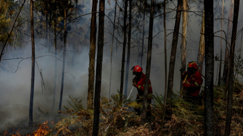 Ola de calor alcanza su pico en España y los incendios se extienden