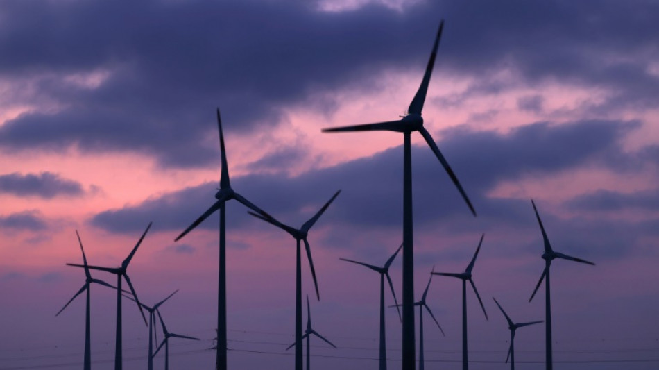 Plus de la moiti&eacute; de l'&eacute;lectricit&eacute; sera d'origine bas carbone avant 2030, selon l'Agence internationale de l'&eacute;nergie