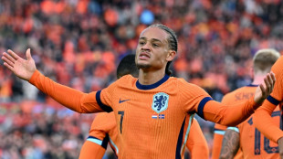 Euro-2024/Pr&eacute;paration: les Pays-Bas font le plein de confiance face &agrave; l'Islande