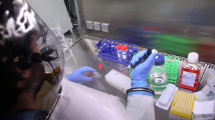 Brasile, al via i lavori di un super laboratorio anti-pandemie