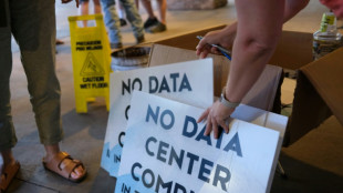 Vilarejo bucólico dos EUA sofre com alta demanda de energia para IA