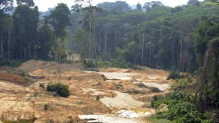 Deforestaci&oacute;n de la Amazon&iacute;a brasile&ntilde;a marca nuevo r&eacute;cord para febrero