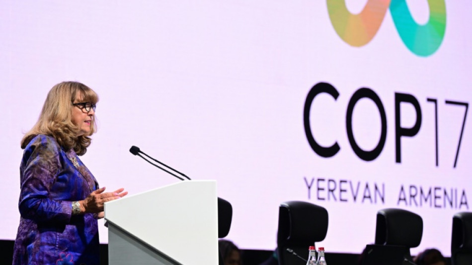 Biodiversit&eacute; : pas d'accord &agrave; l'horizon, au dernier jour de la COP17