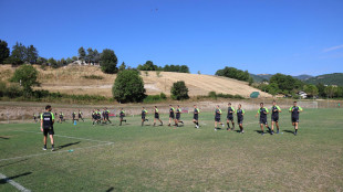 Calcio: violenze contro gli arbitri, per Slc Cgil 'una inaccettabile escalation'