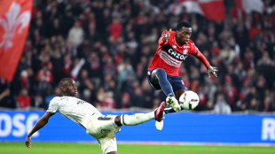 Ligue 1: Lille tourn&eacute; vers l'Europe, Reims poursuit son ascension