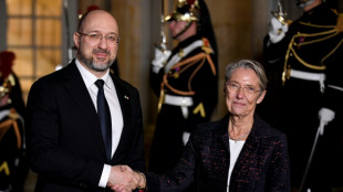 La communaut&eacute; internationale r&eacute;unie &agrave; Paris pour aider les Ukrainiens &agrave; passer l'hiver