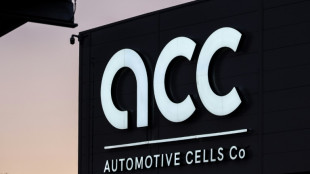 Batteries: les usines fran&ccedil;aises avancent malgr&eacute; la d&eacute;fiance du secteur