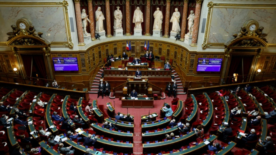 Pouvoir d'achat: au tour du S&eacute;nat, apr&egrave;s les prolongations jou&eacute;es par les d&eacute;put&eacute;s