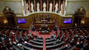 Superprofits, heures suppl&eacute;mentaires, redevance... d&eacute;bats anim&eacute;s au S&eacute;nat