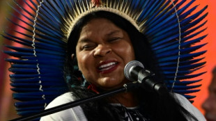 N&atilde;o se resolve '500 anos em quatro', diz ministra dos Povos Ind&iacute;genas 