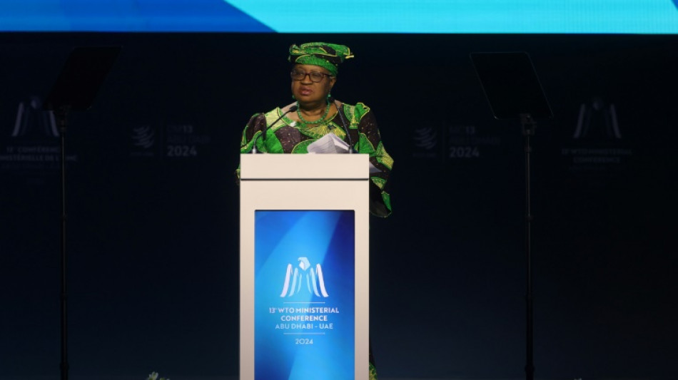 OMC pede reforma do sistema comercial multilateral em reuni&atilde;o em Abu Dhabi