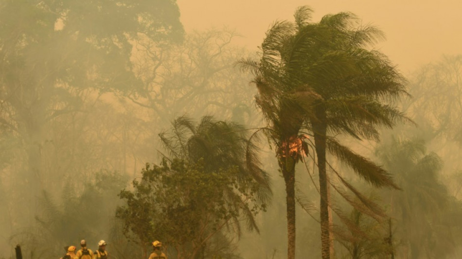 Bol&iacute;via decreta 'desastre nacional' por inc&ecirc;ndios florestais