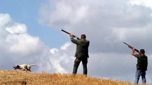 Cambi legge su caccia, Lega verso blitz in dl agricoltura