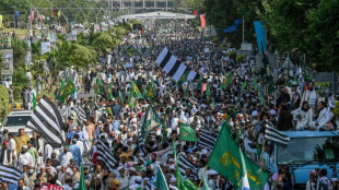 Manifestaci&oacute;n progubernamental en Pakist&aacute;n y nueva audiencia para Khan