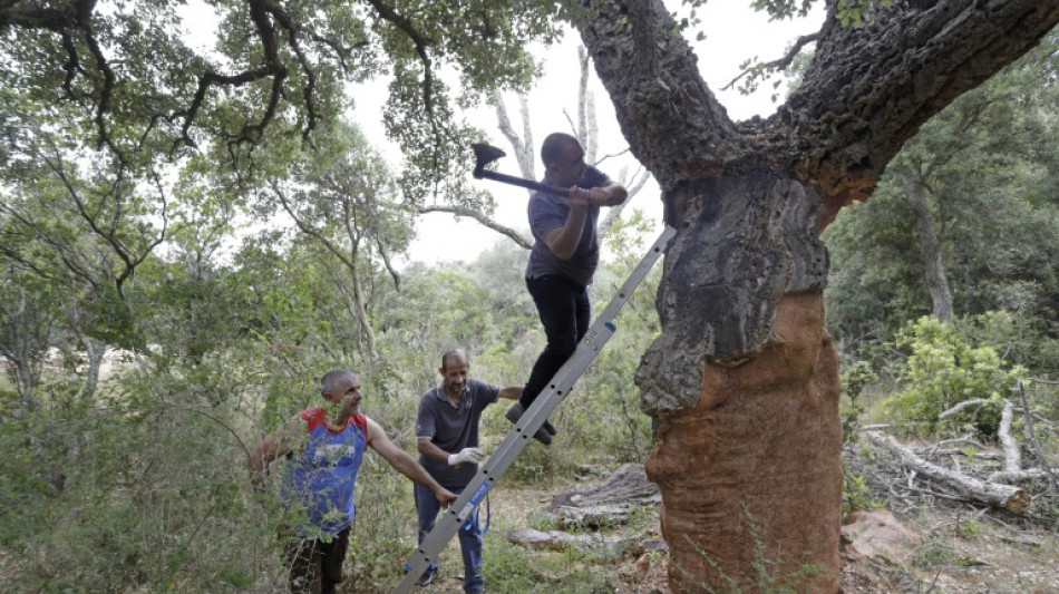 El desempleo en la eurozona alcanz&oacute; en mayo su menor nivel hist&oacute;rico, del 6,6%