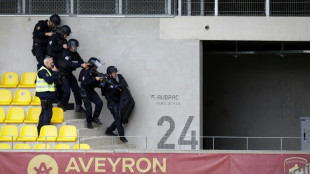 Militares, polic&iacute;as y perros de otros pa&iacute;ses reforzar&aacute;n la seguridad de los Juegos de Par&iacute;s