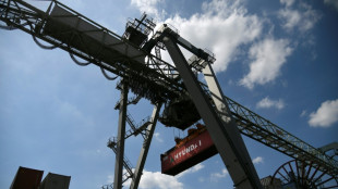 Ifo-Umfrage: Firmen k&ouml;nnen G&uuml;ter aus Russland und Ukraine nur schwer ersetzen