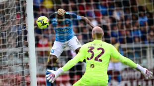 Ruthless Napoli continue title march with Torino thrashing