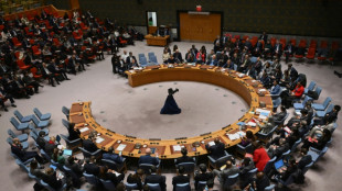 El Consejo de Seguridad de la ONU se pronuncia sobre una nueva resoluci&oacute;n de alto el fuego en Gaza