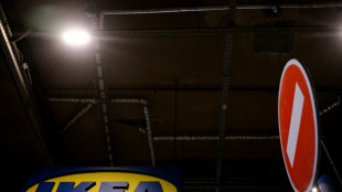 Ikea, frenada por la inflaci&oacute;n y el cese de su actividad en Rusia