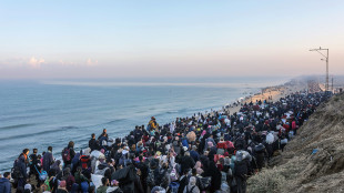Presidente Parlamento dell'Iran, 'Hamas &egrave; pi&ugrave; forte di prima'