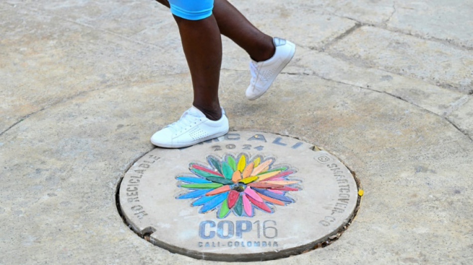 Li&ccedil;&otilde;es da covid na COP16: proteger o planeta para evitar os v&iacute;rus