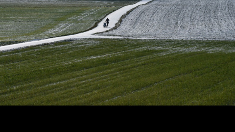 EuGH: Erziehungszeit in anderem EU-Land z&auml;hlt oft f&uuml;r Erwerbsminderungsrente