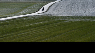 EuGH: Erziehungszeit in anderem EU-Land z&auml;hlt oft f&uuml;r Erwerbsminderungsrente