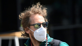 F1: "Je n'ai pas encore pris de d&eacute;cision sur mon avenir", assure Vettel