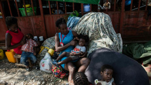 La pandillas quieren "silenciar" a la prensa en Hait&iacute;, advierte la Unesco