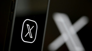 Allemagne: le minist&egrave;re de la D&eacute;fense suspend son activit&eacute; sur la plateforme X