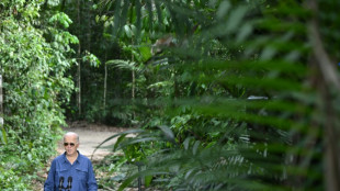 Biden: Niemand kann Energiewende in den USA r&uuml;ckg&auml;ngig machen