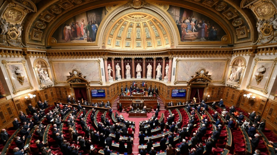 McKinsey: le S&eacute;nat a saisi la justice pour "suspicion de faux t&eacute;moignage"