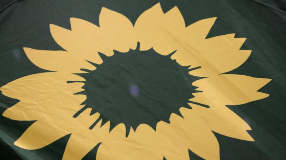 Gr&uuml;ne wollen Verfahren im Fall Gelbhaar neu aufrollen - Strafanzeige beschlossen