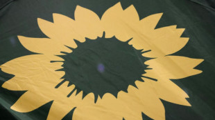 Gr&uuml;nen-Politiker Gelbhaar wehrt sich juristisch gegen Bel&auml;stigungsvorw&uuml;rfe