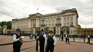 Arrestation d'un homme ayant lanc&eacute; des munitions pr&eacute;sum&eacute;es dans le parc de Buckingham Palace