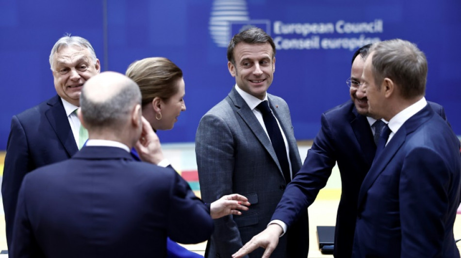Pa&iacute;ses de la UE pidieron avanzar con plan de uso de activos rusos congelados