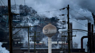 Biden se opone a la venta de sider&uacute;rgica US Steel a japonesa Nippon Steel
