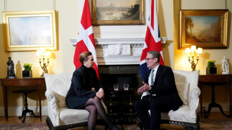 Reino Unido y Dinamarca discuten sobre la seguridad en el &Aacute;rtico