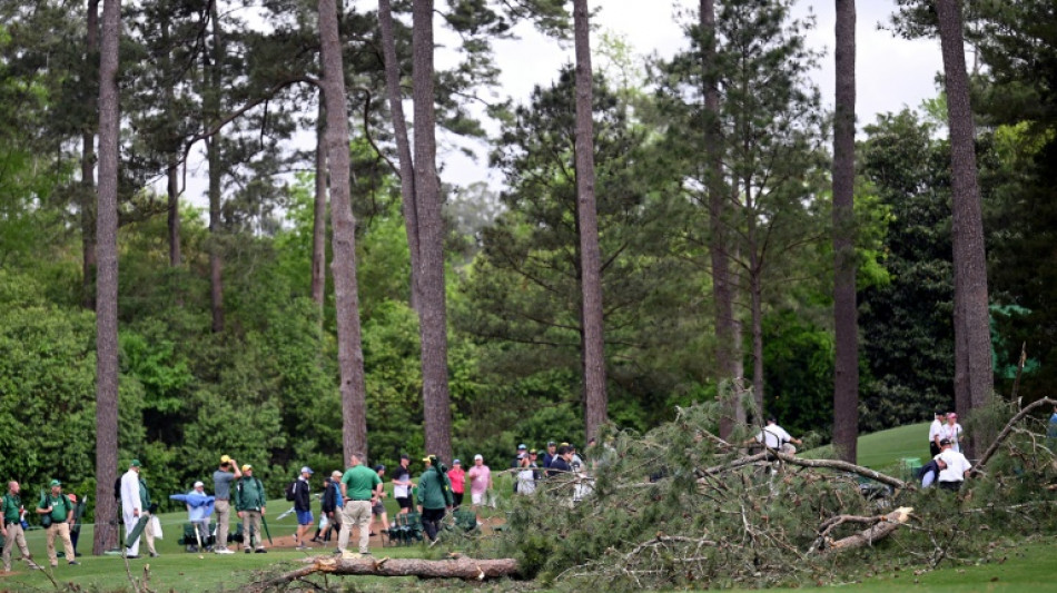Fans escape without injury after towering trees fall at Masters