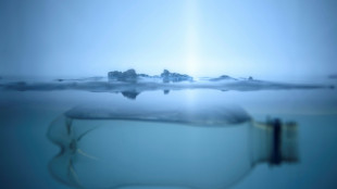 Exporte von Plastikm&uuml;ll ins Ausland innerhalb von zehn Jahren halbiert