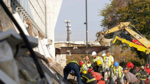 Zw&ouml;lf Tote bei Dacheinsturz auf Bahnhof in Serbien - Regierung ruft Trauertag aus