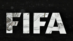 Foot/transferts: feu vert pour la chambre de compensation de la Fifa &agrave; Paris