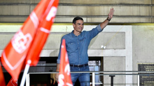 Spain's Pedro Sanchez: a risk-taker with a flair for survival