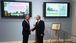 Witkoff, 'l'accordo con Putin ruota intorno ai 5 territori'