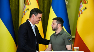 EU's support for Kyiv's membership 'unequivocal': Sanchez
